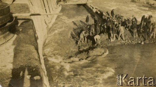 Fotografia z kolekcji Angeli Szymanowski / Fotografía de la colección de Angela Szymanowski