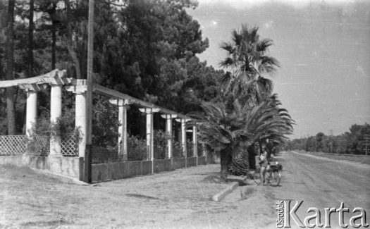 Fotografia z kolekcji Marii Świeczewskiej-Wańke / Fotografía de la colección de Maria Świeczewska-Wańke