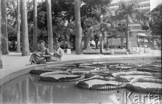 Fotografia z kolekcji Marii Świeczewskiej-Wańke / Fotografía de la colección de Maria Świeczewska-Wańke