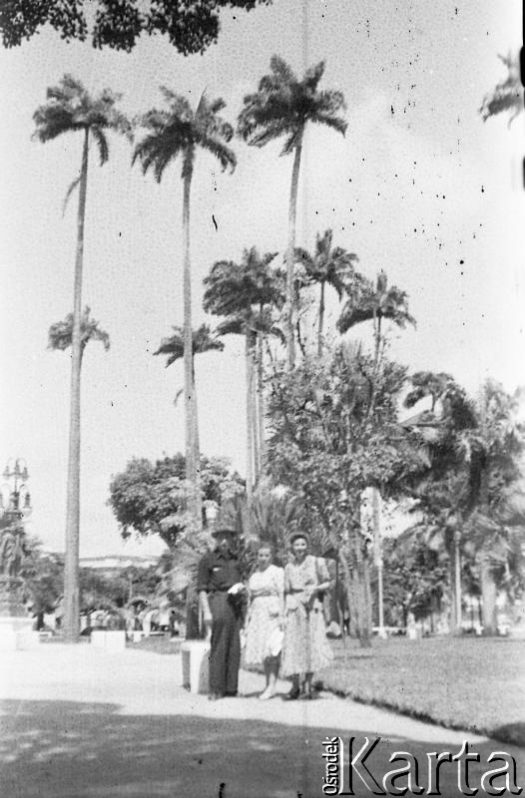 Fotografia z kolekcji Marii Świeczewskiej-Wańke / Fotografía de la colección de Maria Świeczewska-Wańke