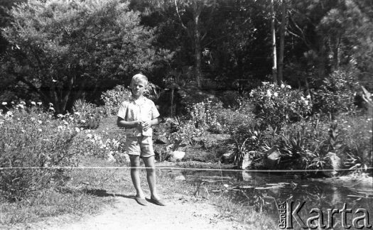 Fotografia z kolekcji Marii Świeczewskiej-Wańke / Fotografía de la colección de Maria Świeczewska-Wańke