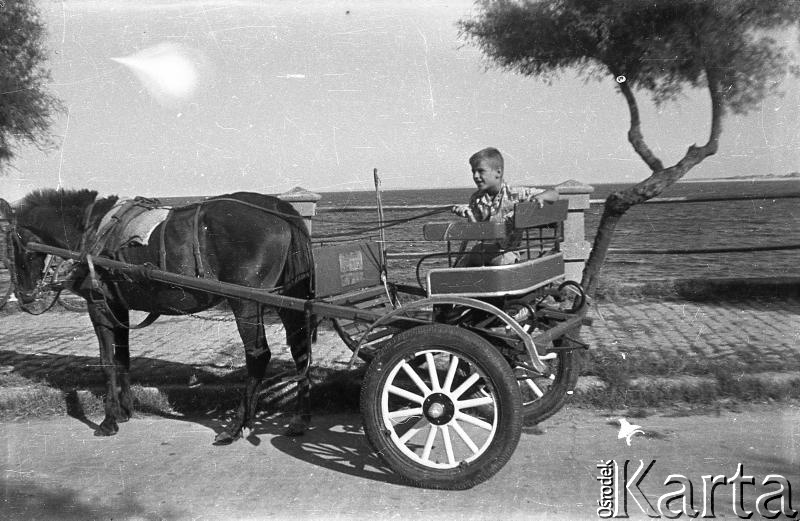 Fotografia z kolekcji Marii Świeczewskiej-Wańke / Fotografía de la colección de Maria Świeczewska-Wańke