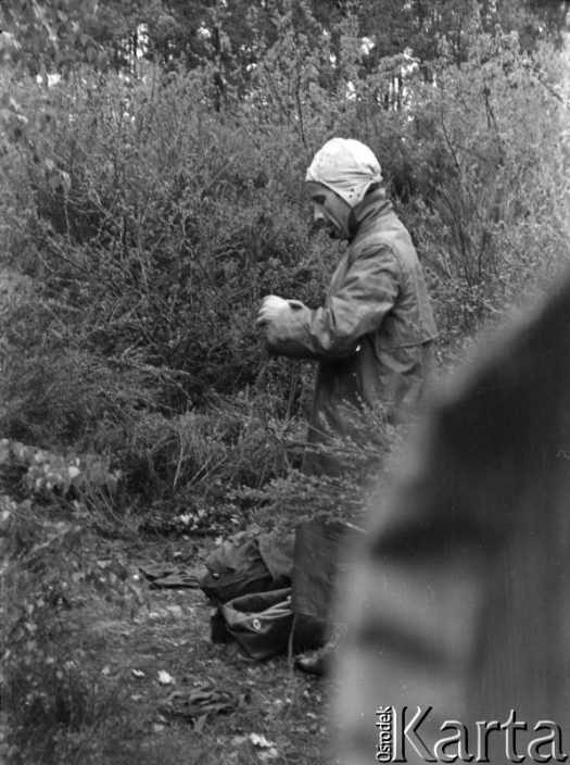 Fotografia z kolekcji Marii Świeczewskiej-Wańke / Fotografía de la colección de Maria Świeczewska-Wańke