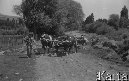 Fotografia z kolekcji Marii Świeczewskiej-Wańke / Fotografía de la colección de Maria Świeczewska-Wańke