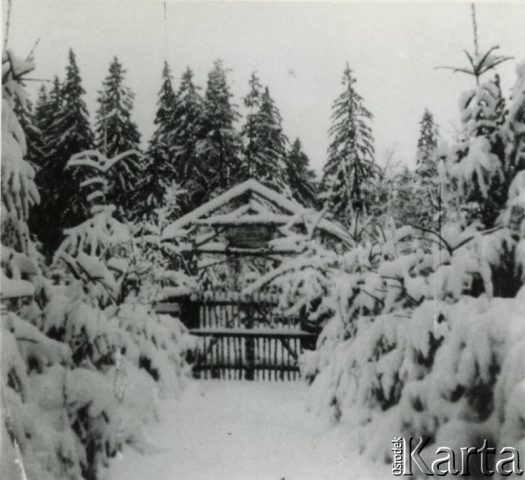 Fotografia z kolekcji Grzegorza Daytona / Fotografía de la colección de Grzegorz Dayton
