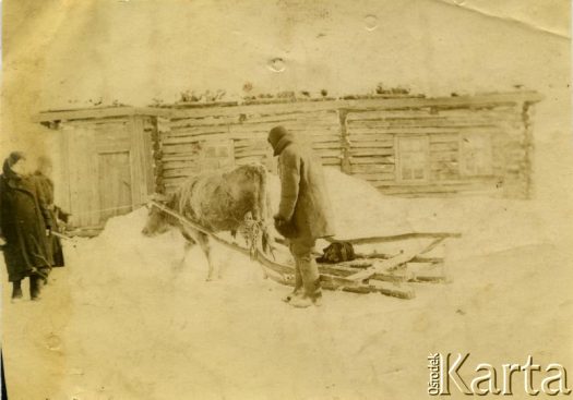 Fotografia z kolekcji Wiktora Idczaka / Fotografía de la colección de Wiktor Idczak