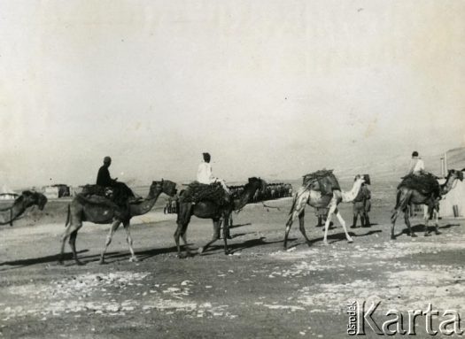 Fotografia z kolekcji Henryka Mittelstaedta / Fotografía de la colección de Henryk Mittelstaedt