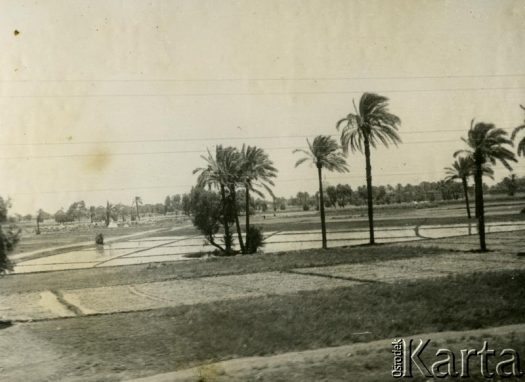 Fotografia z kolekcji Henryka Mittelstaedta / Fotografía de la colección de Henryk Mittelstaedt