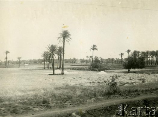 Fotografia z kolekcji Henryka Mittelstaedta / Fotografía de la colección de Henryk Mittelstaedt