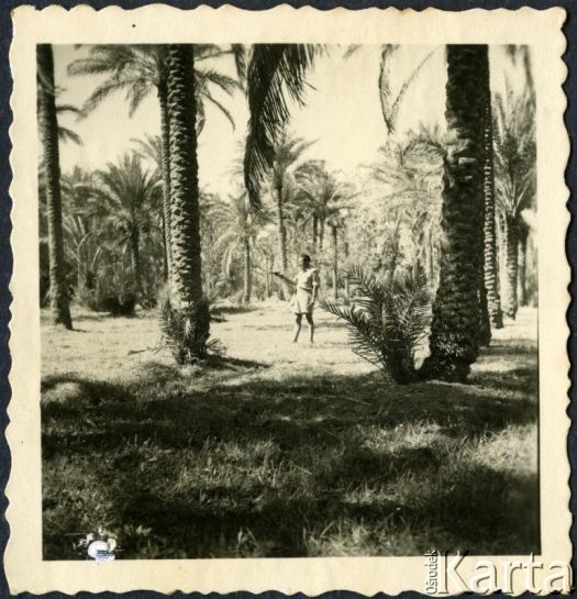 Fotografia z kolekcji Henryka Mittelstaedta / Fotografía de la colección de Henryk Mittelstaedt