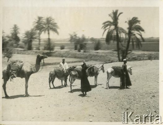 Fotografia z kolekcji Henryka Mittelstaedta / Fotografía de la colección de Henryk Mittelstaedt