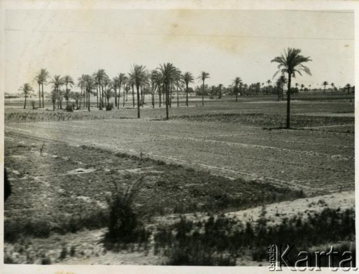 Fotografia z kolekcji Henryka Mittelstaedta / Fotografía de la colección de Henryk Mittelstaedt