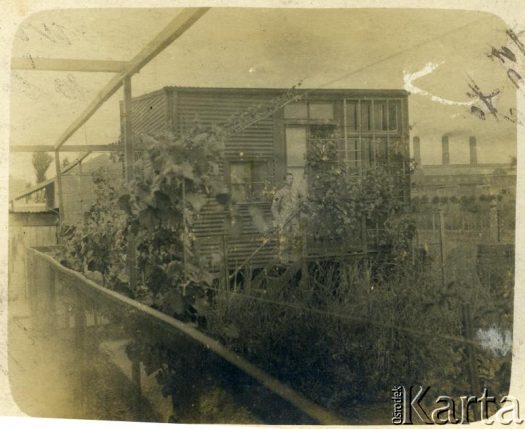 Fotografia z kolekcji Janiny Krajewskiej-Skurowej / Fotografía de la colección de Janina Krajewska-Skurowa