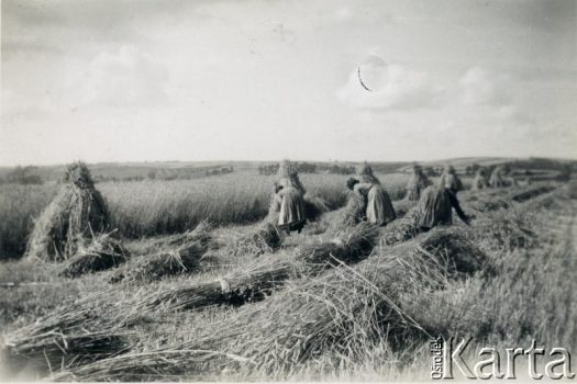 Fotografia z kolekcji rodziny Jałbrzykowskich / Fotografía de la colección de familia Jałbrzykowski
