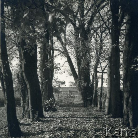 Fotografia z kolekcji rodziny Jałbrzykowskich / Fotografía de la colección de familia Jałbrzykowski