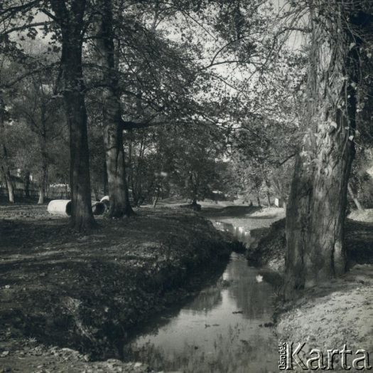 Fotografia z kolekcji rodziny Jałbrzykowskich / Fotografía de la colección de familia Jałbrzykowski