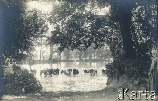 Fotografia z kolekcji rodziny Jałbrzykowskich / Fotografía de la colección de familia Jałbrzykowski