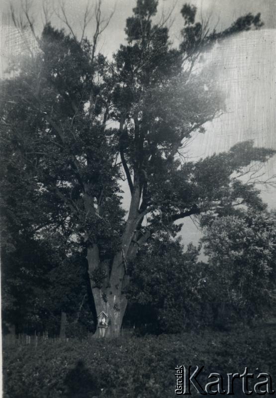 Fotografia z kolekcji rodziny Jałbrzykowskich / Fotografía de la colección de familia Jałbrzykowski
