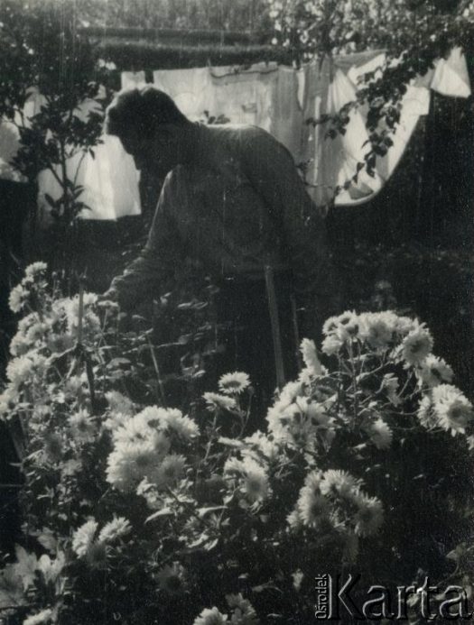 Fotografia z kolekcji Wojciecha Woszczynina / Fotografía de la colección de Wojciech Woszczynin