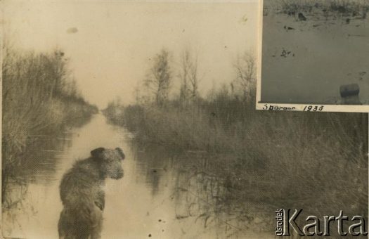 Fotografia z kolekcji Wojciecha Woszczynina / Fotografía de la colección de Wojciech Woszczynin