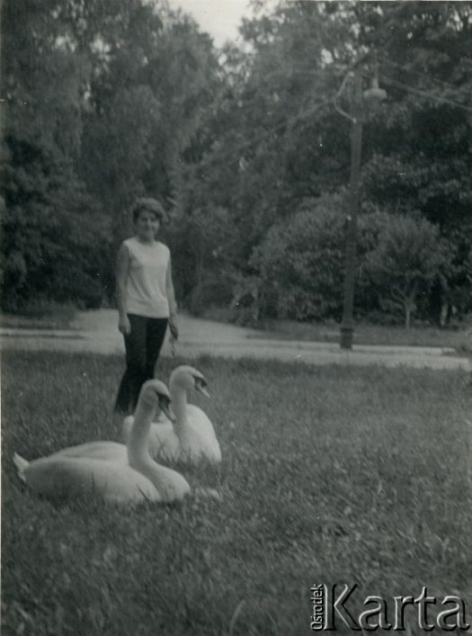 Fotografia z kolekcji Wojciecha Woszczynina / Fotografía de la colección de Wojciech Woszczynin