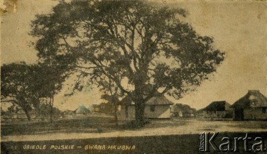 Fotografia z kolekcji Ireny Kaźmierczak / Fotografía de la colección de Irena Kaźmierczak