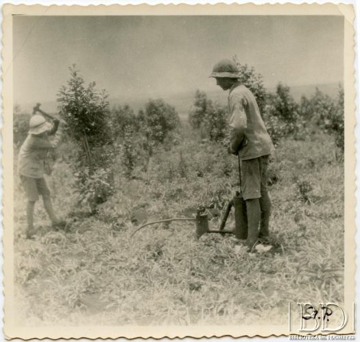 Fotografia z kolekcji Stanisława Pyzika / Fotografía de la colección de Stanisław Pyzik