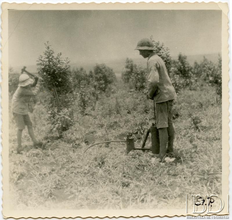 Fotografia z kolekcji Stanisława Pyzika / Fotografía de la colección de Stanisław Pyzik