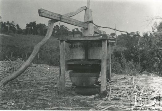 Fotografia z kolekcji Stanisława Pyzika / Fotografía de la colección de Stanisław Pyzik