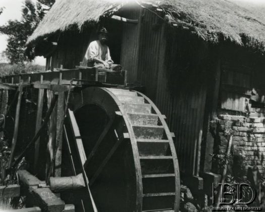 Fotografia z kolekcji Stanisława Pyzika / Fotografía de la colección de Stanisław Pyzik