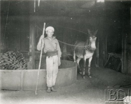 Fotografia z kolekcji Stanisława Pyzika / Fotografía de la colección de Stanisław Pyzik