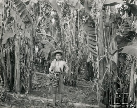 Fotografia z kolekcji Stanisława Pyzika / Fotografía de la colección de Stanisław Pyzik