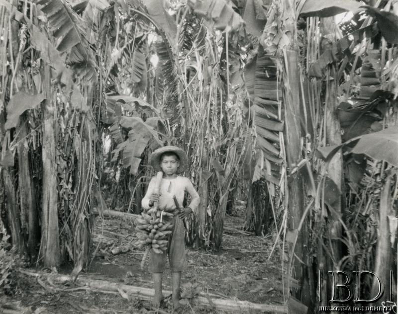 Fotografia z kolekcji Stanisława Pyzika / Fotografía de la colección de Stanisław Pyzik