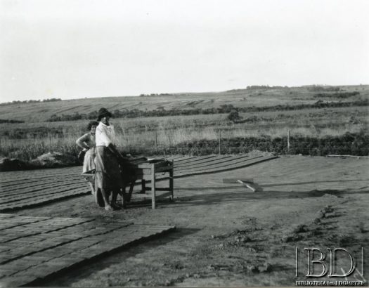 Fotografia z kolekcji Stanisława Pyzika / Fotografía de la colección de Stanisław Pyzik