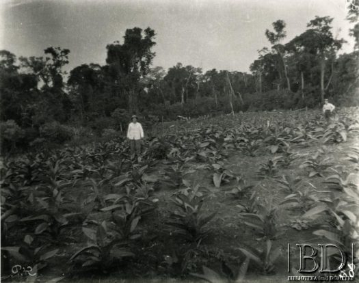 Fotografia z kolekcji Stanisława Pyzika / Fotografía de la colección de Stanisław Pyzik