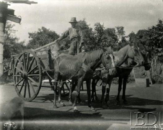 Fotografia z kolekcji Stanisława Pyzika / Fotografía de la colección de Stanisław Pyzik