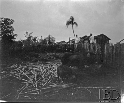 Fotografia z kolekcji Stanisława Pyzika / Fotografía de la colección de Stanisław Pyzik