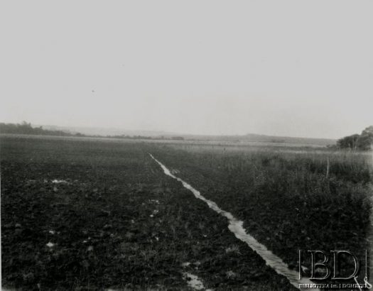 Fotografia z kolekcji Stanisława Pyzika / Fotografía de la colección de Stanisław Pyzik