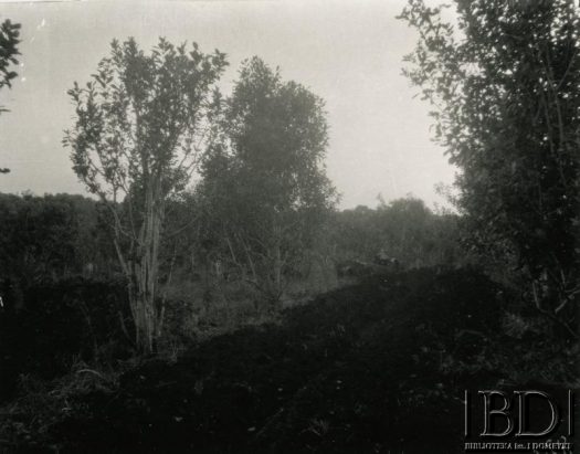 Fotografia z kolekcji Stanisława Pyzika / Fotografía de la colección de Stanisław Pyzik