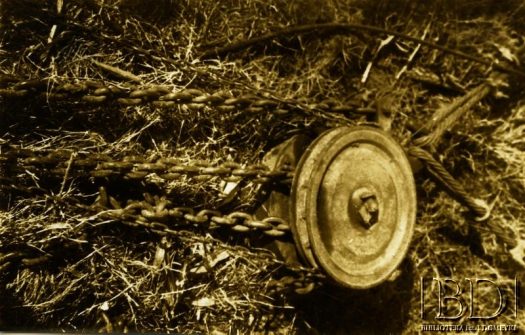 Fotografia z kolekcji Zygmunta Kicińskiego / Fotografía de la colección de Zygmunt Kiciński