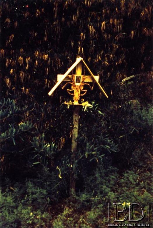 Fotografia z obozu harcerskiego „Miramar” / Fotografía del campamento scout „Miramar”