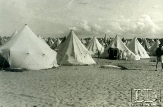 Fotografia z kolekcji 5 Kresowej Dywizji Piechoty / Fotografía de la colección de 5 Kresowa Dywizja Piechoty