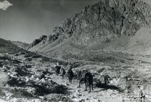 Fotografia z wyprawy wysokogórskiej w Andy, zorganizowanej w 1969 / Fotografía de la expedición andina organizada en 1969