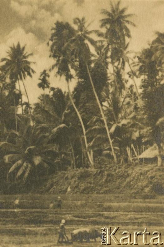 Fotografia ze zbiorów Archiwum Ojców Franciszkanów w Polskiej Misji Katolickiej w Martin Coronado / Fotografía del Archivo de los Padres Franciscanos en la Misión Católica Polaca en Martin Coronado.