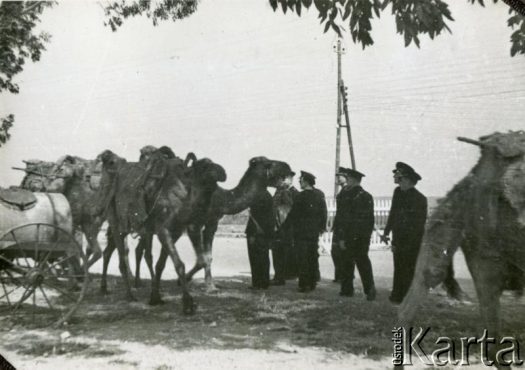 Fotografia ze zbiorów Archiwum Ojców Franciszkanów w Polskiej Misji Katolickiej w Martin Coronado / Fotografía del Archivo de los Padres Franciscanos en la Misión Católica Polaca en Martin Coronado.