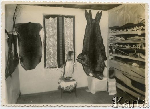 Fotografia ze zbiorów Związku Polskiego w Berisso. / Fotografía de la colección de la Unión Polaca en Berisso.