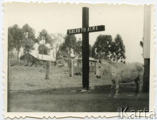 Fotografia ze zbiorów Centralnego Archiwum Historycznego Redemptorystów w Wiceprowincji Resistencia / Fotografía de la colección del Archivo Central Histórico de Redentoristas en la Viceprovincia de Resistencia.