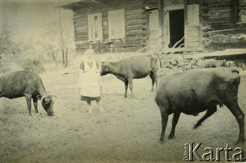 Fotografia ze zbiorów Centralnego Archiwum Historycznego Redemptorystów w Wiceprowincji Resistencia / Fotografía de la colección del Archivo Central Histórico de Redentoristas en la Viceprovincia de Resistencia.
